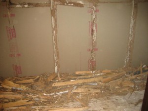 Wood Destroyed by Termite Infestation